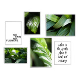 Green Plants - Pflanzen Bilder Set
