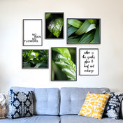 Green Plants - Pflanzen Bilder Set