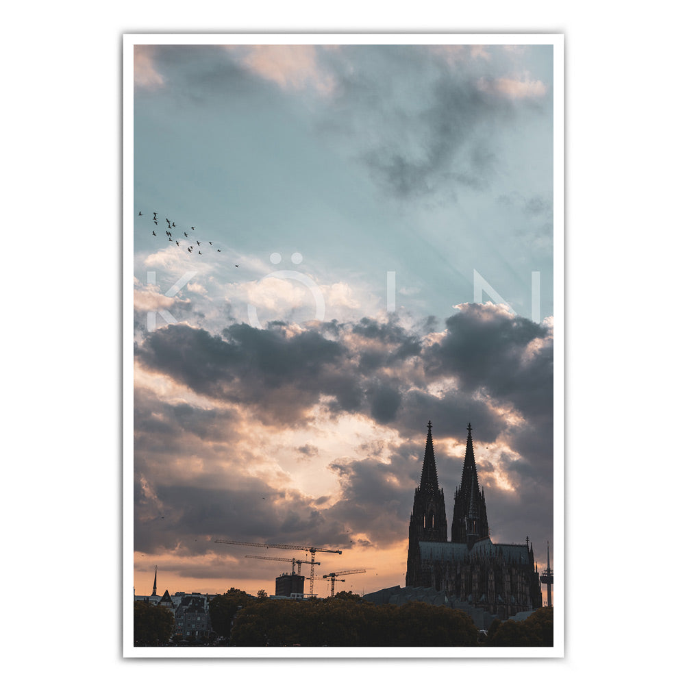 Poster mit Köln Motiv. Kölner Dom bei bewölken Himmel zum Sonnenuntergang. Köln Schriftzug in den Wolken eingebaut. Papageien über dem Dom.