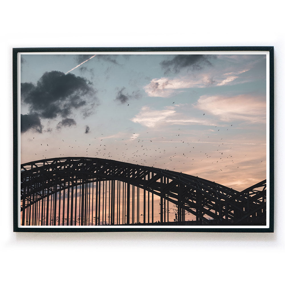 Wandbild im Querformat im schwarzen Bilderrahmen mit Köln Motiv. Vögel über der Hohenzollernbrücke im Sonnenuntergang.