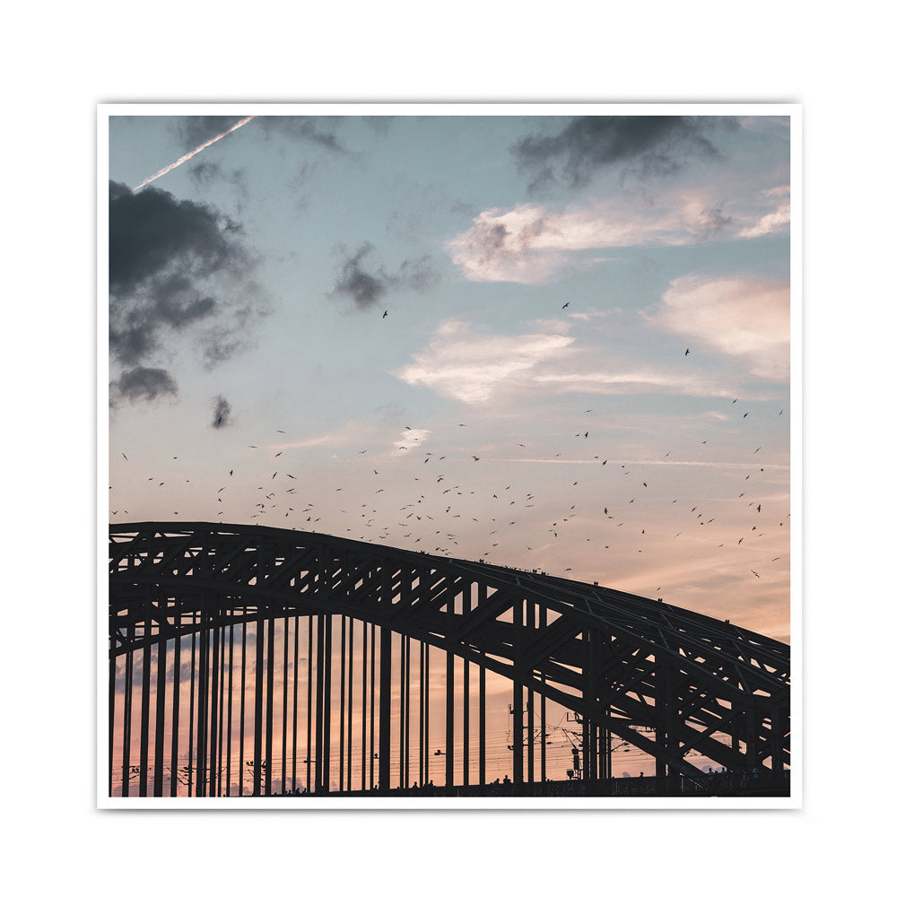 Wandbild quadratisch mit Köln Motiv. Vögel über der Hohenzollernbrücke im Sonnenuntergang.