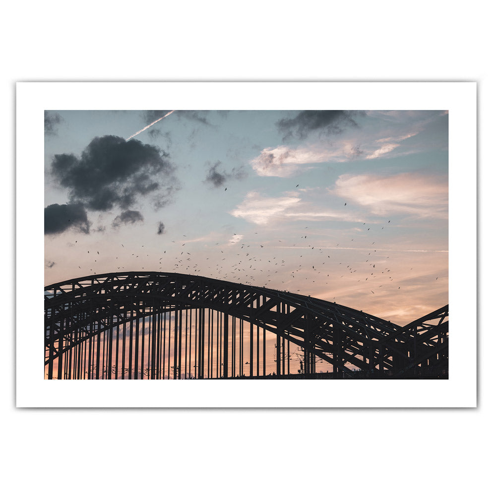 Wandbild im Querformat mit Köln Motiv und umlaufenden weißen Rand. Vögel über der Hohenzollernbrücke im Sonnenuntergang.