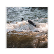 Isar Surfen - München Bild