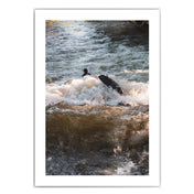 Isar Surfen - München Bild
