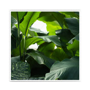 Pflanzen Meer Natur Poster