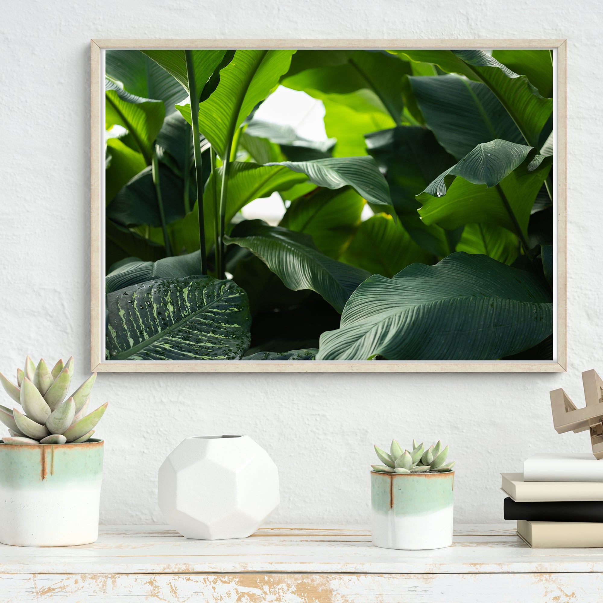 Pictures 4one Querformat – Pflanzen Wanddeko im | Poster Natur