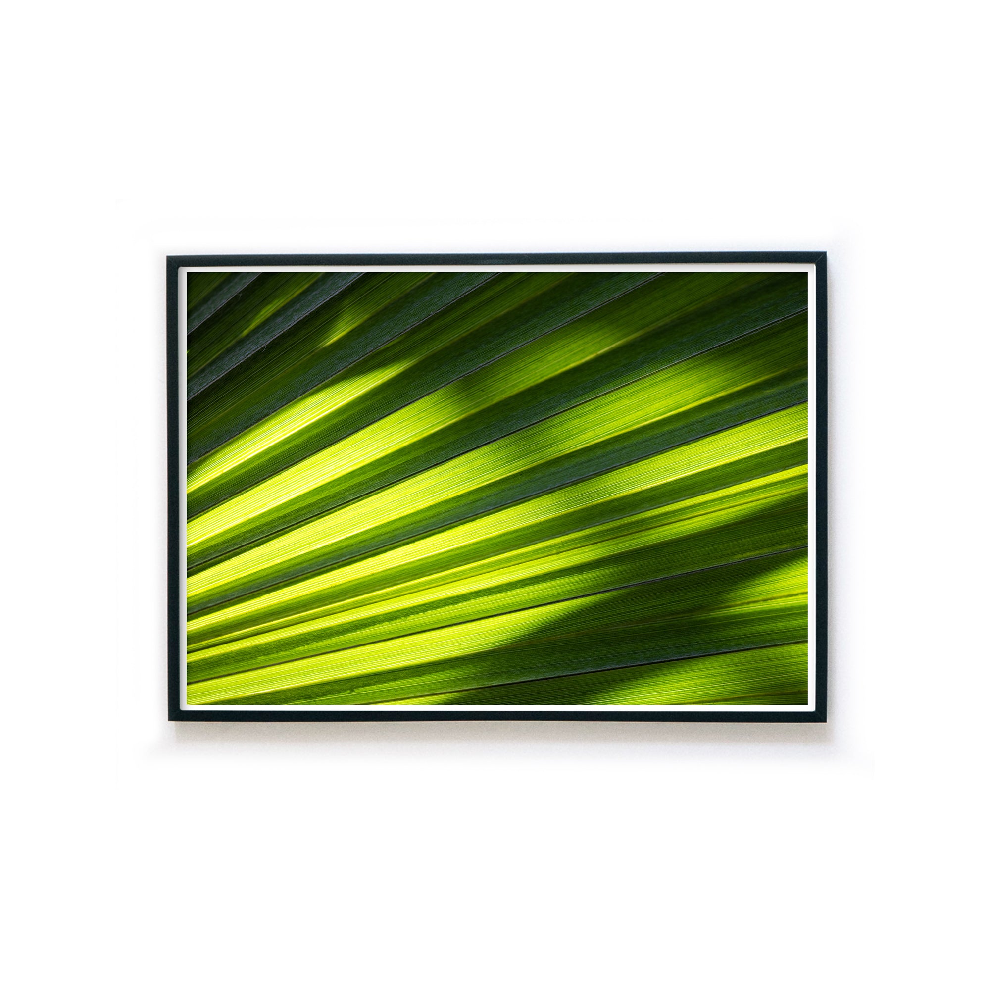 Green Shadows - Natur Poster