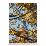 Peterskirche Bild