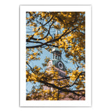 Peterskirche Bild