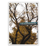 Münchner Viktualienmarkt Poster