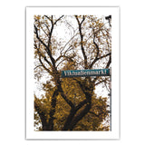 Münchner Viktualienmarkt Poster