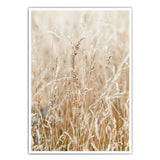 Boho Gräser Bild