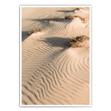 Sanddünen - Natur Bild