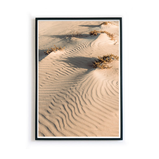 Sanddünen - Natur Bild