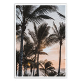 Sonnenuntergang Palmen Poster