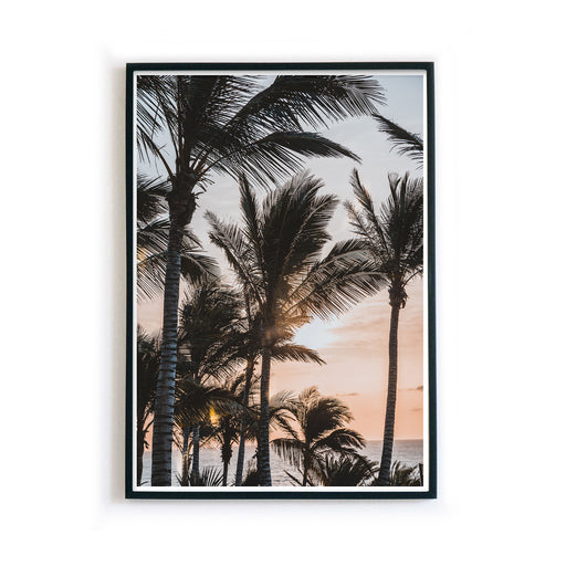 Sonnenuntergang Palmen Poster