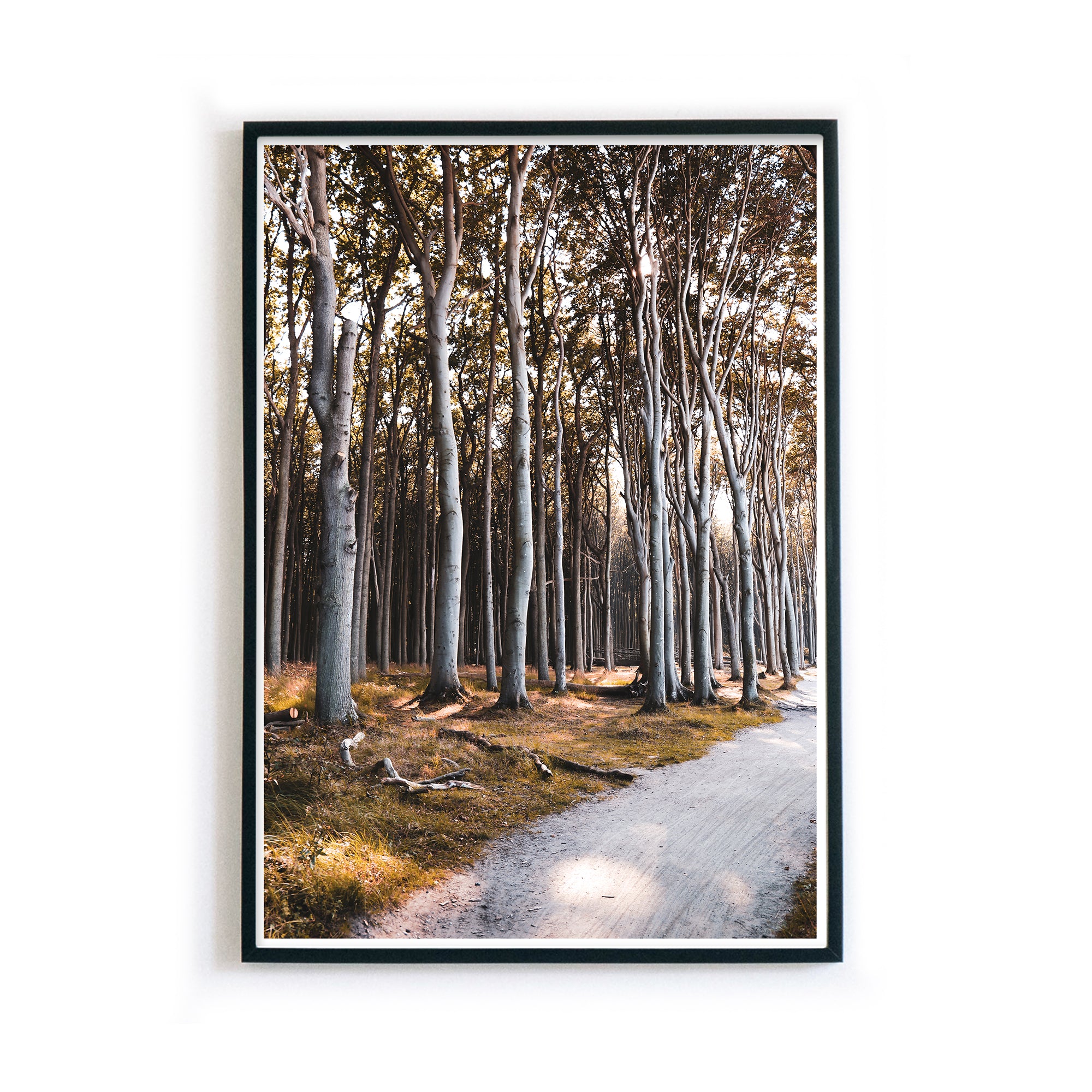 4one-pictures_natur_a4_a3_30x40_poster_bild_wald_braun_bronce_ostsee_natur_baum_birken_bilderrahme.jpg