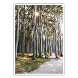 Waldspaziergang