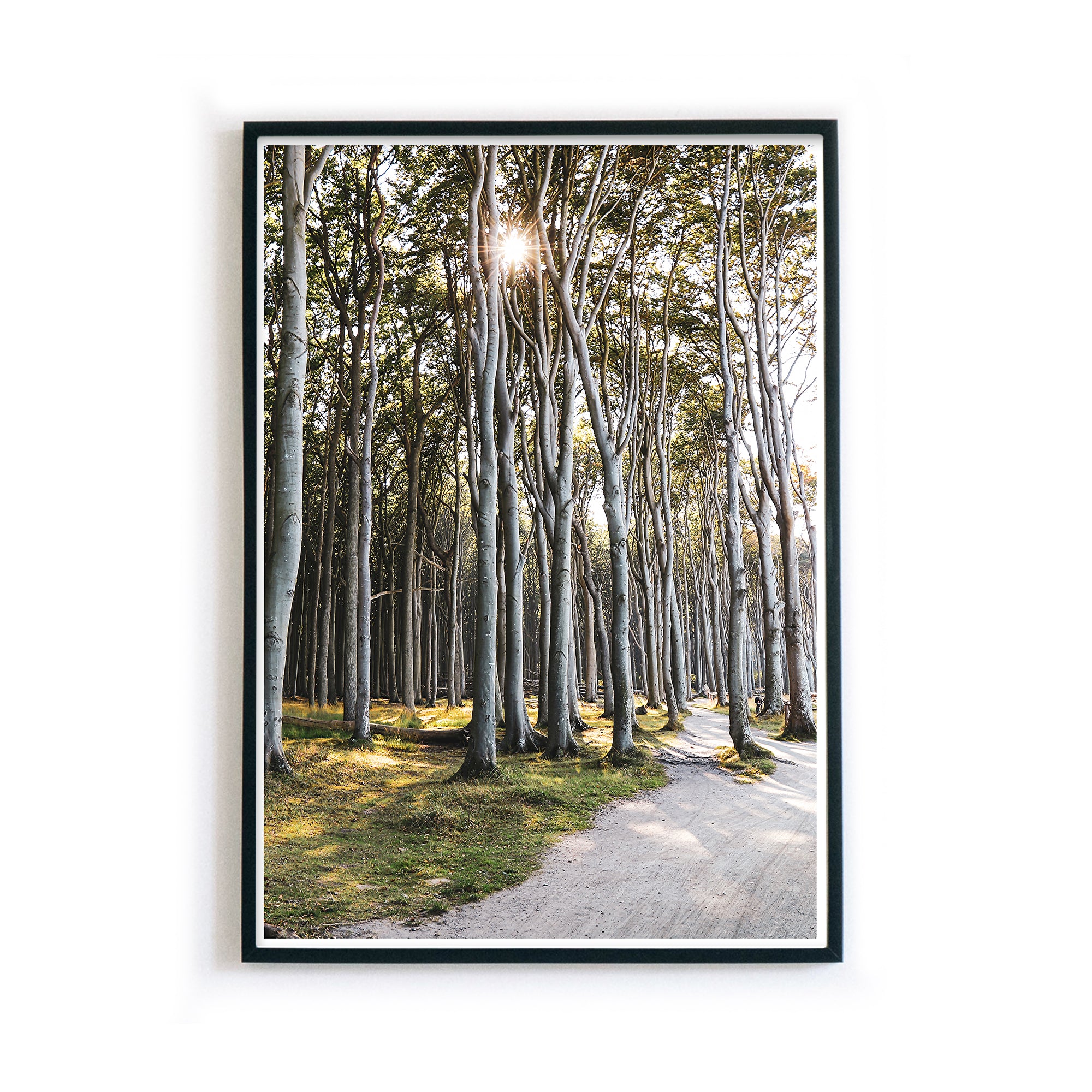 4one-pictures_natur_a4_a3_30x40_poster_bild_wald_grun_sommer_fruhling_sonne_ostsee_natur_baum_birken_bilderrahmen.jpg