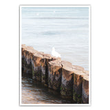 Strand Möwe