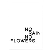 No Rain No Flowers