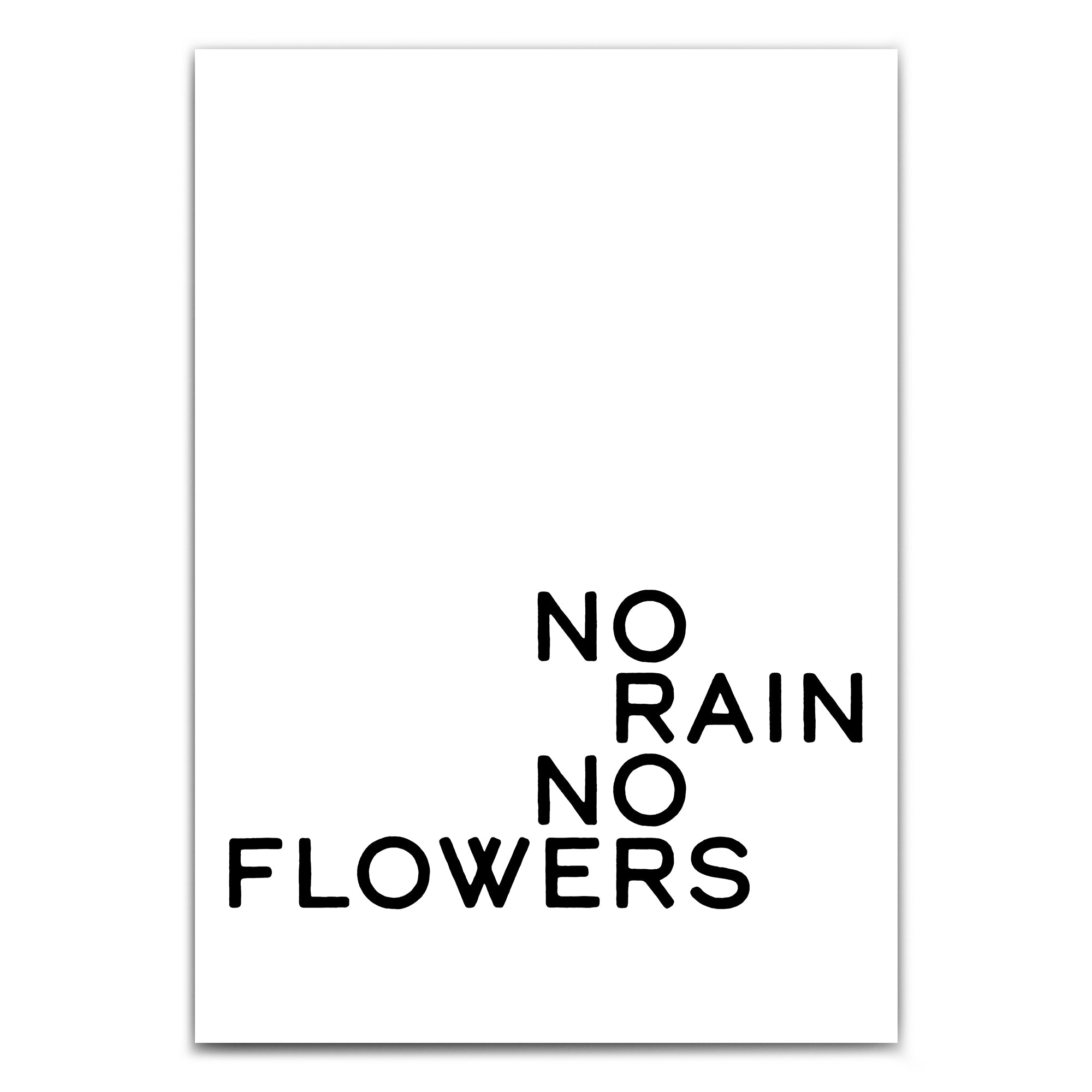 No Rain No Flowers