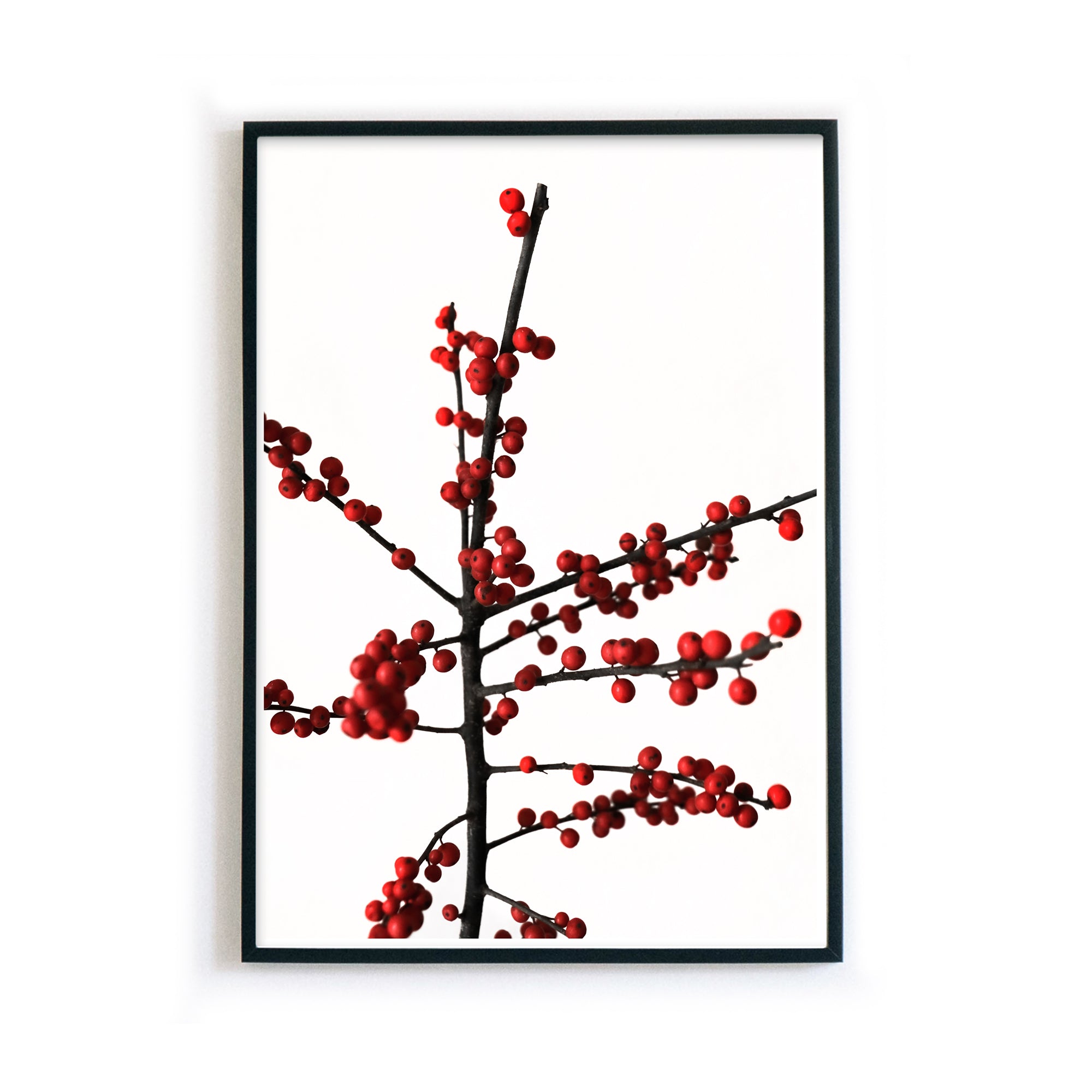 4onepictures-dina4-poster-weihnachten-ilex-natur-pflanze-bilderrahmen.jpg