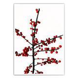 Ilex