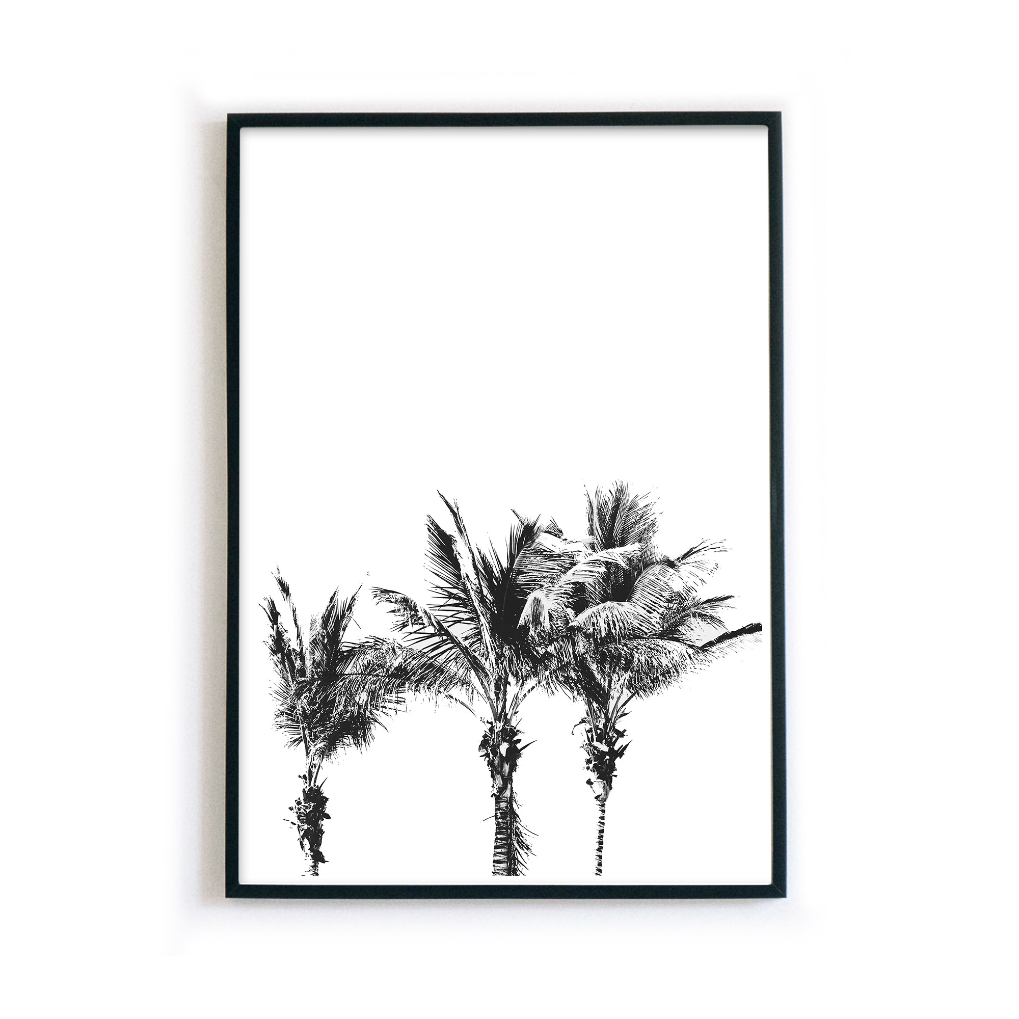 4onepictures-palmen-schwarz-weiss-retro-clean-sommer-bilderrahmen.jpg