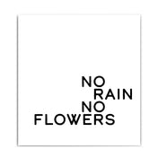 No Rain No Flowers