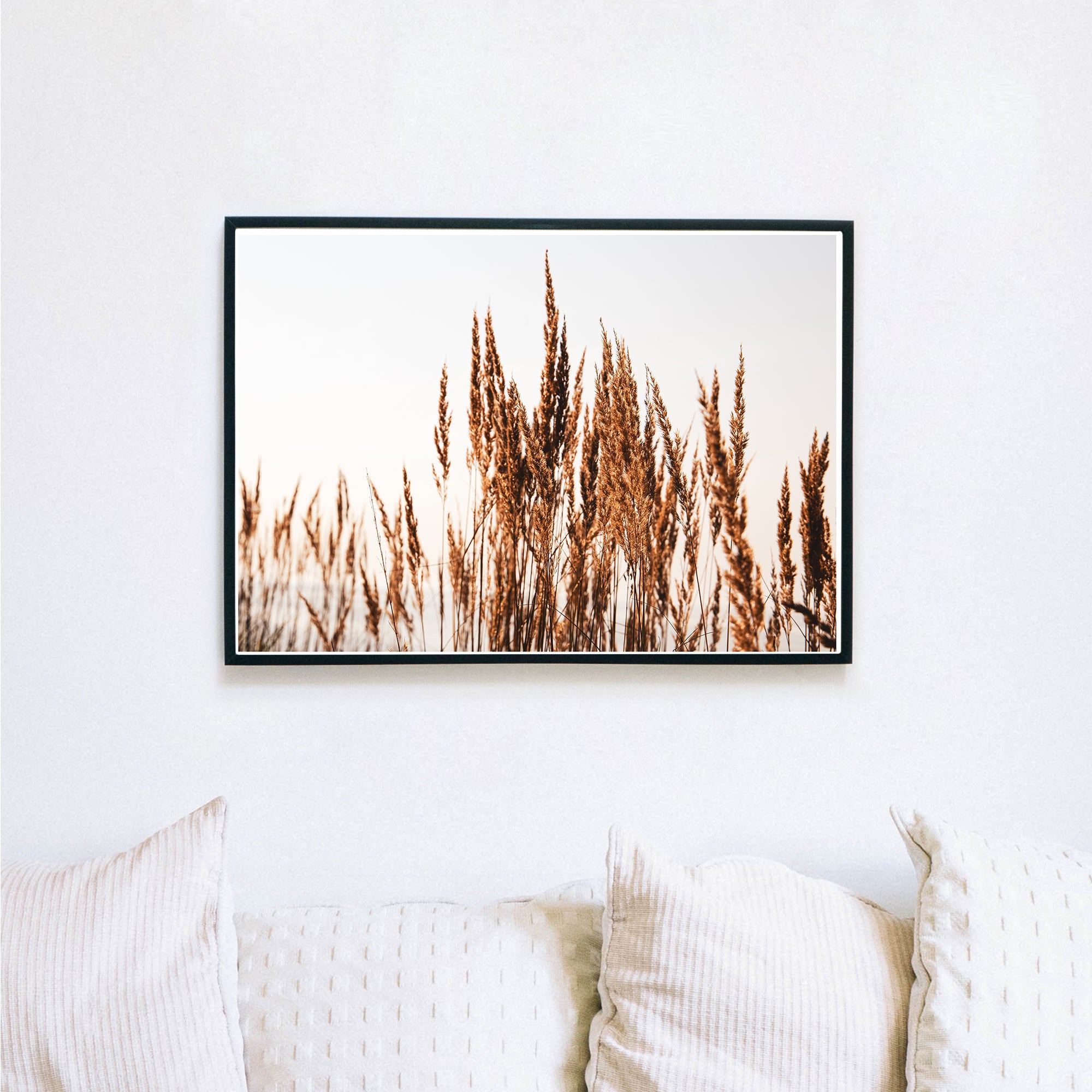 4onepictures_natur_a4_a3_30x40_poster_bild_ostsee_hygge_pampas_gras_getreide_pflanzen_natur_quer_meer_wanddeko.jpg
