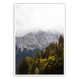 Wald Landschaft