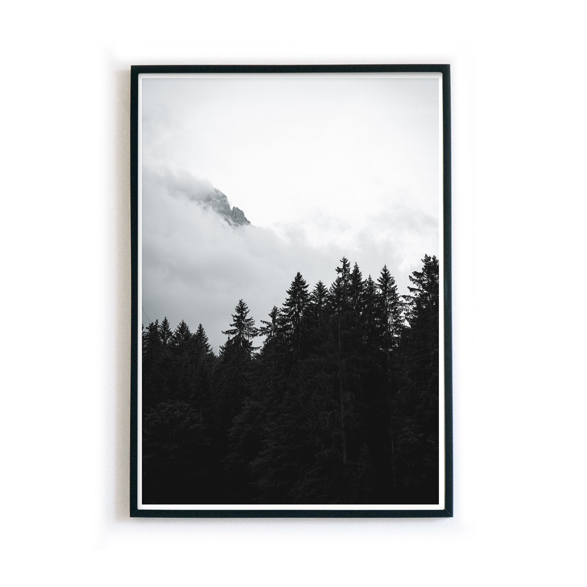 Pictures - Bild Weiß 4one Wald Poster Schwarz Natur – Wohnzimmer
