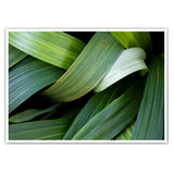 Plant one - Pflanzen Poster