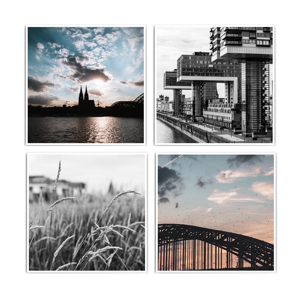 Vier quadratische Köln Poster im Querformat. Kölner Skyline zum Sonnenuntergang. Motive von Gräsern am Rhein, Hohenzollernbrücke, Kölner Dom und Kranhäuser. 