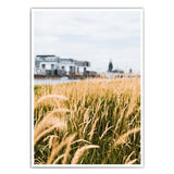 Natur am Rhein | Bild von Köln
