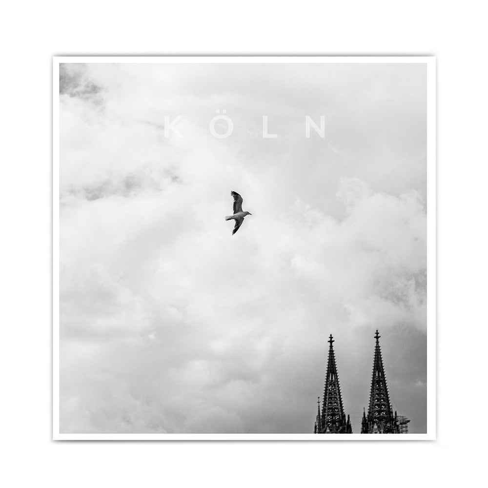 Quadratisches Köln Poster in schwarz weiß. Wolkiger Himmel mit einer Möwe mittig im Bild, unten rechts die Spitzen vom Kölner Dom