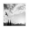 Quadratisches Köln Poster vom Kölner Dom in schwarz-Weiß. Vogel fliegt über die Dom Türme bei Sonnenstrahlen und bewölkten Himmel.
