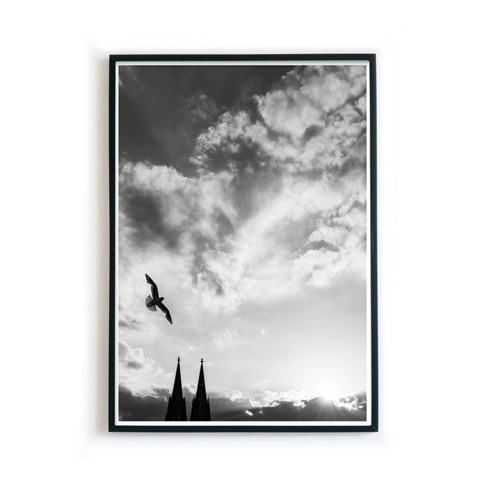 Köln Poster im Bilderrahmen vom Kölner Dom in schwarz-Weiß. Vogel fliegt über die Dom Türme bei Sonnenstrahlen und bewölkten Himmel.