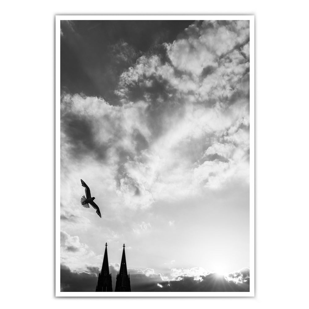 Köln Poster vom Kölner Dom in schwarz-Weiß. Vogel fliegt über die Dom Türme bei Sonnenstrahlen und bewölkten Himmel.
