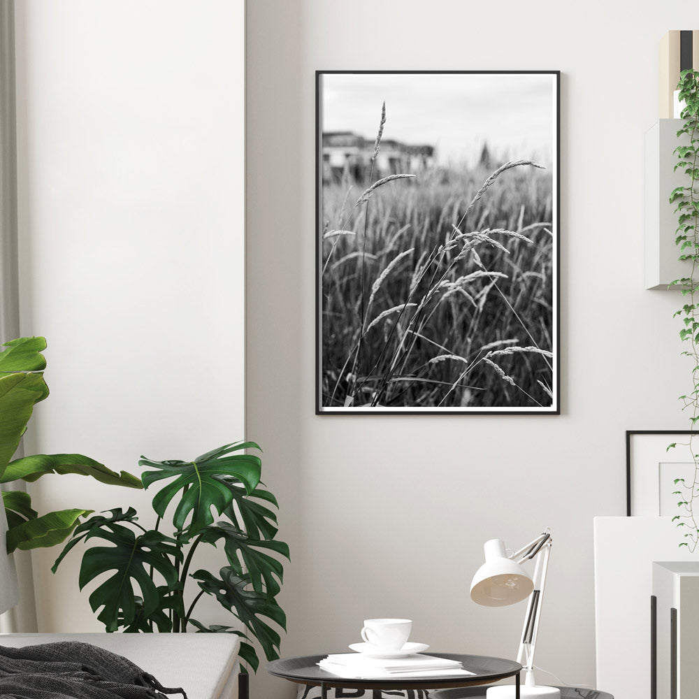 Schwarz Weiß Natur Poster. Gräser im Vordergrund und dahinter verschwommen die Kranhäuser und der Dom in Köln. Bild gerahmt an der Wand im Wohnzimmer.