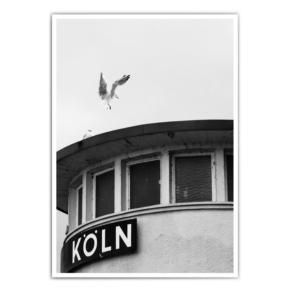 Köln Poster in schwarz weiß mit einer Möwe die auf einer Säule, mit einem Köln Schriftzug, landet.