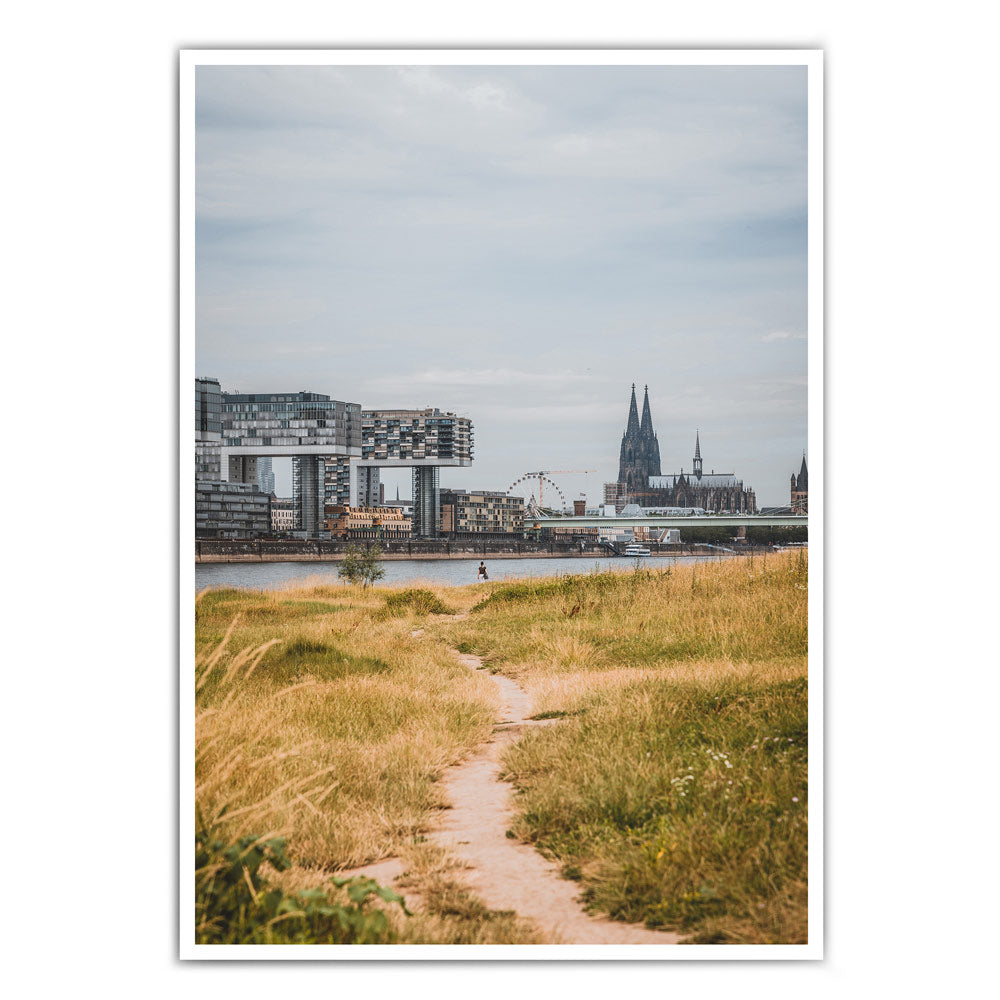 Köln Poster von einem Weg der Richtung Köln führt. Der Rhein, Kölner Dom und Kranhäuser im Hintergrund vom Bild.