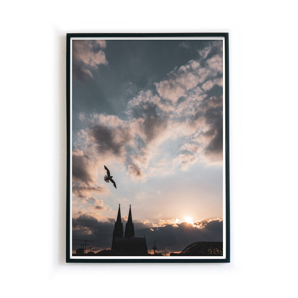 Gerahmtes Köln Poster vom Sonnenuntergang über dem Kölner Dom. Über dem Dom fliegt eine Möwe. Kraftvoller blauer Himmel mit Wolken und Sonnenstrahlen.