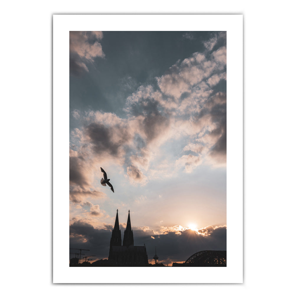 Köln Poster vom Sonnenuntergang über dem Kölner Dom. Über dem Dom fliegt eine Möwe. Kraftvoller blauer Himmel mit Wolken und Sonnenstrahlen. Mit weißen Rand um das Poster.