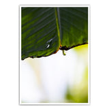 Wassertropfen